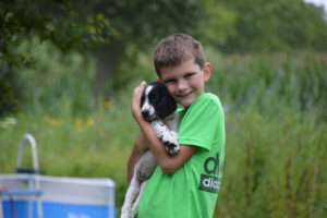 Niels | Kennel van de Hazelberg