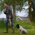 Tim | Engelse Springer Spaniel